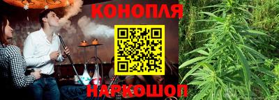 spice Обь