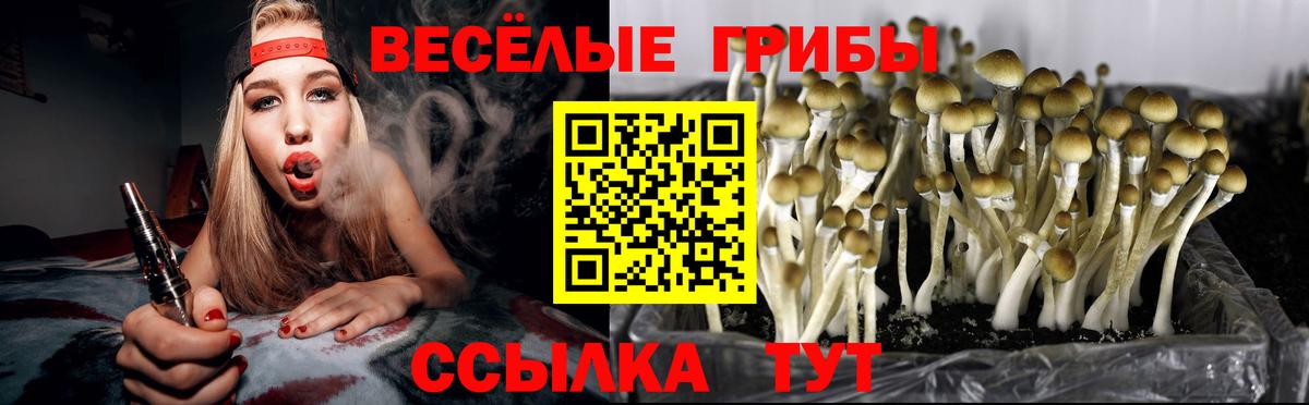 Псилоцибиновые грибы Cubensis Семёнов